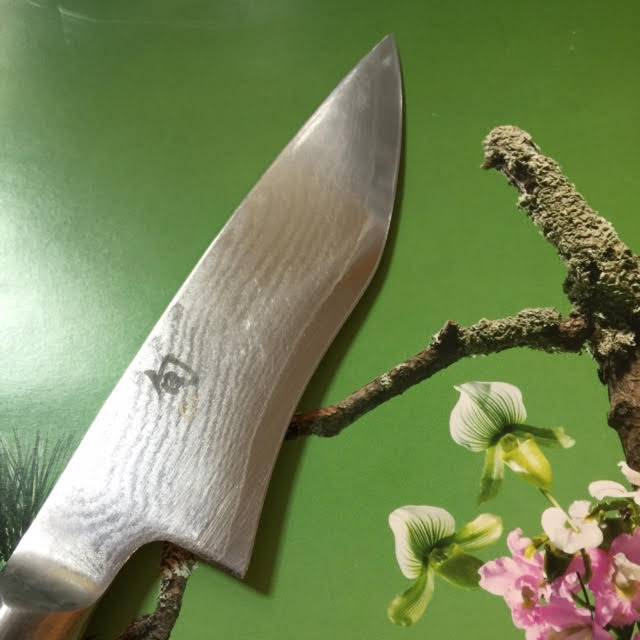 This photo is of a knife that is difficult to sharpen freehand. The Edge Pro made this easy. 